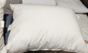 Bantal Bulu Angsa