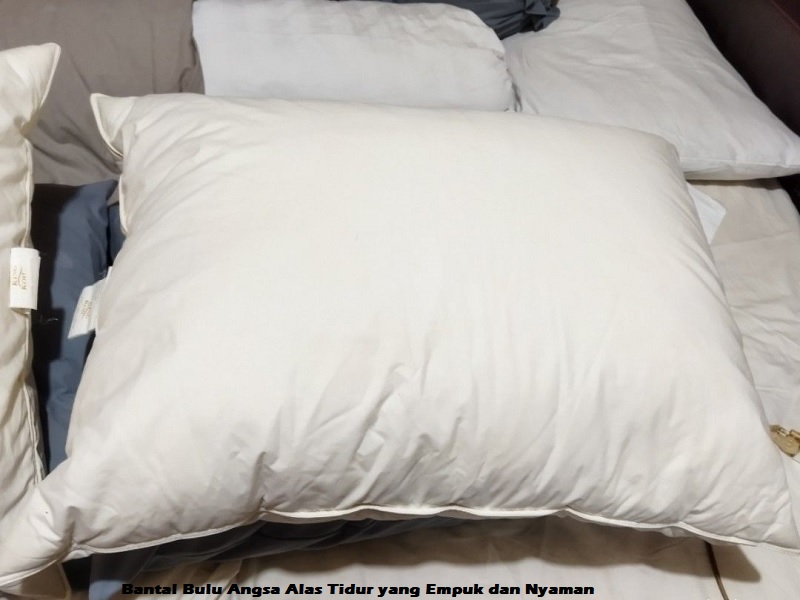 Bantal Bulu Angsa