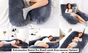 Bantal Ibu Hamil